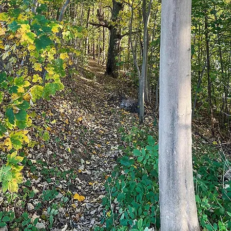 Hébergement de vacances Cozy In With Wifi Schwerin (Mecklenburg-Vorpommern)