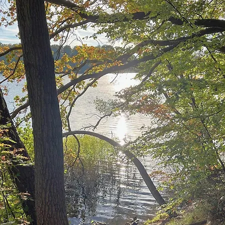 Cozy In With Wifi * Schwerin (Mecklenburg-Vorpommern)