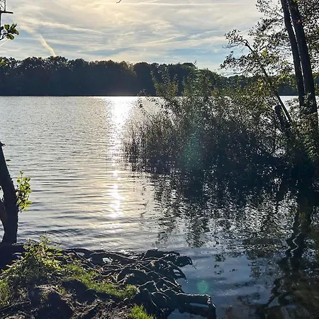 Cozy In With Wifi * Schwerin (Mecklenburg-Vorpommern)