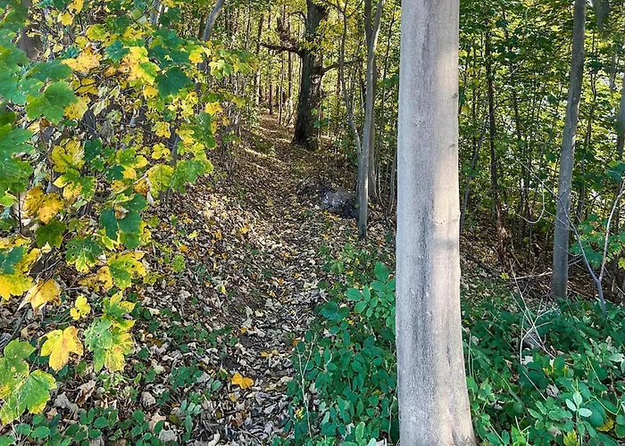 بيت للعطل Cozy In With Wifi شفيرين