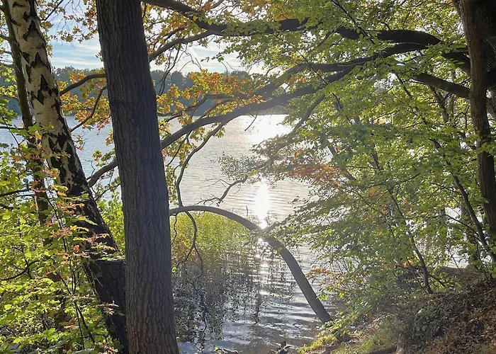 Cozy In With Wifi * شفيرين