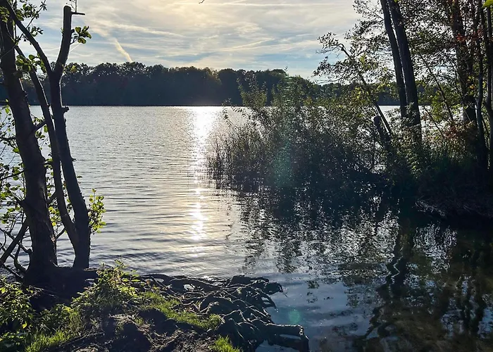 Cozy In With Wifi * شفيرين